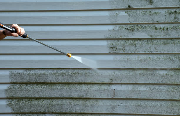 Best Crawl Space Mold Removal  in Adair Village, OR